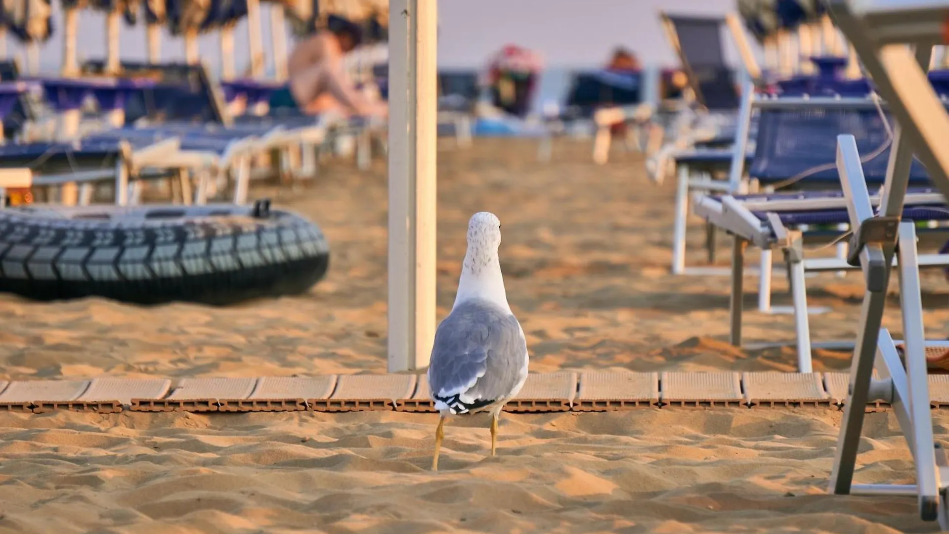 Intimate Studio By The Beach - Beahost Porto Santa Margherita di Caorle Διαμέρισμα